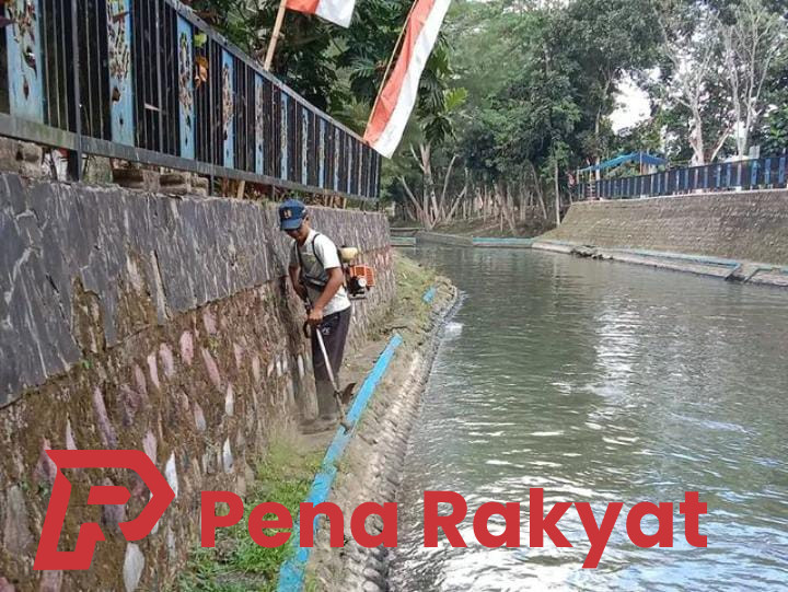 Korsda Banyuwangi Rutin Bersihkan Saluran Irigasi untuk Dukung Petani