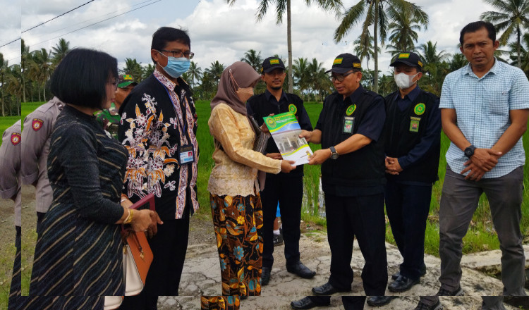 Ibu Kandung Gugat Tiga Anak, PA Banyuwangi Eksekusi Damai Sengketa Waris