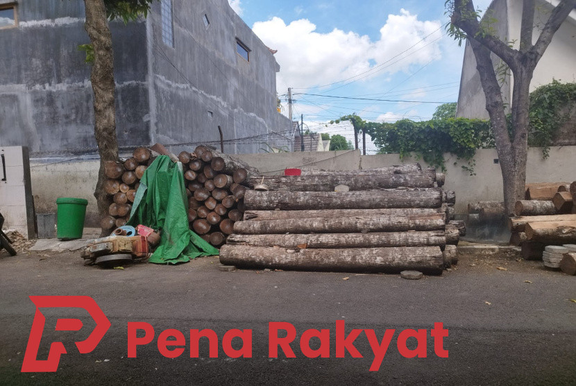 Polisi Banyuwangi Terus Selidiki Kasus Penebangan Pohon Kelapa