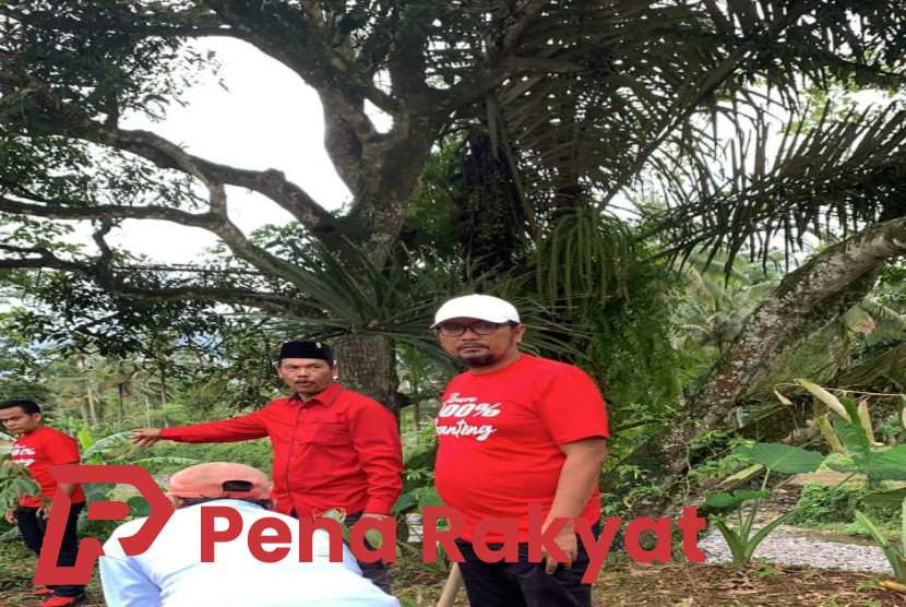 Sumbang Oksigen DPC PDI Perjuangan Banyuwangi Tanam Seribu Pohon 