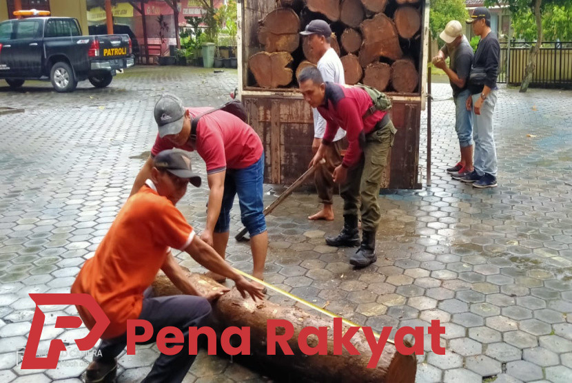 Truk Bawa Kayu Jati Hasil Curian Diamankan Aparat