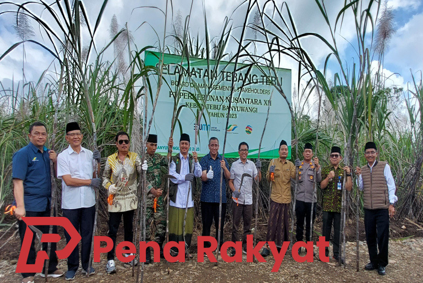 Tebang Tebu Perdana PTPN XII Siapkan Bahan Baku MBS