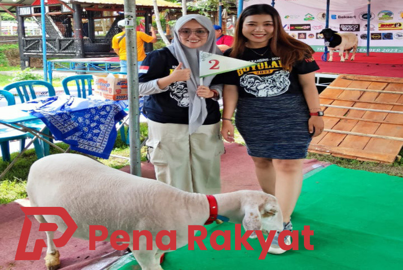 Banyuwangi Berkilau di Ajang Kontes Kambing dan Domba Tingkat Nasional