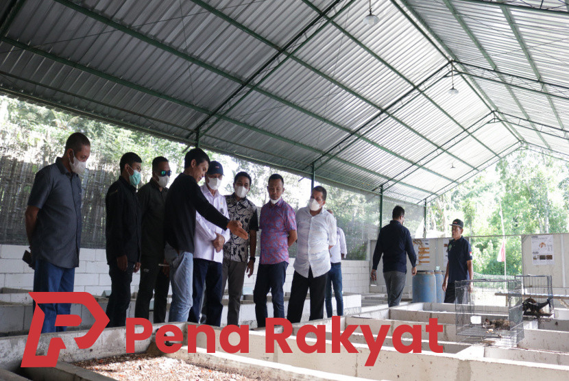 Dari Sampah Menjadi Berkah: Kisah Inspiratif Pemuda Banyuwangi Ubah Sampah Menjadi Maggot