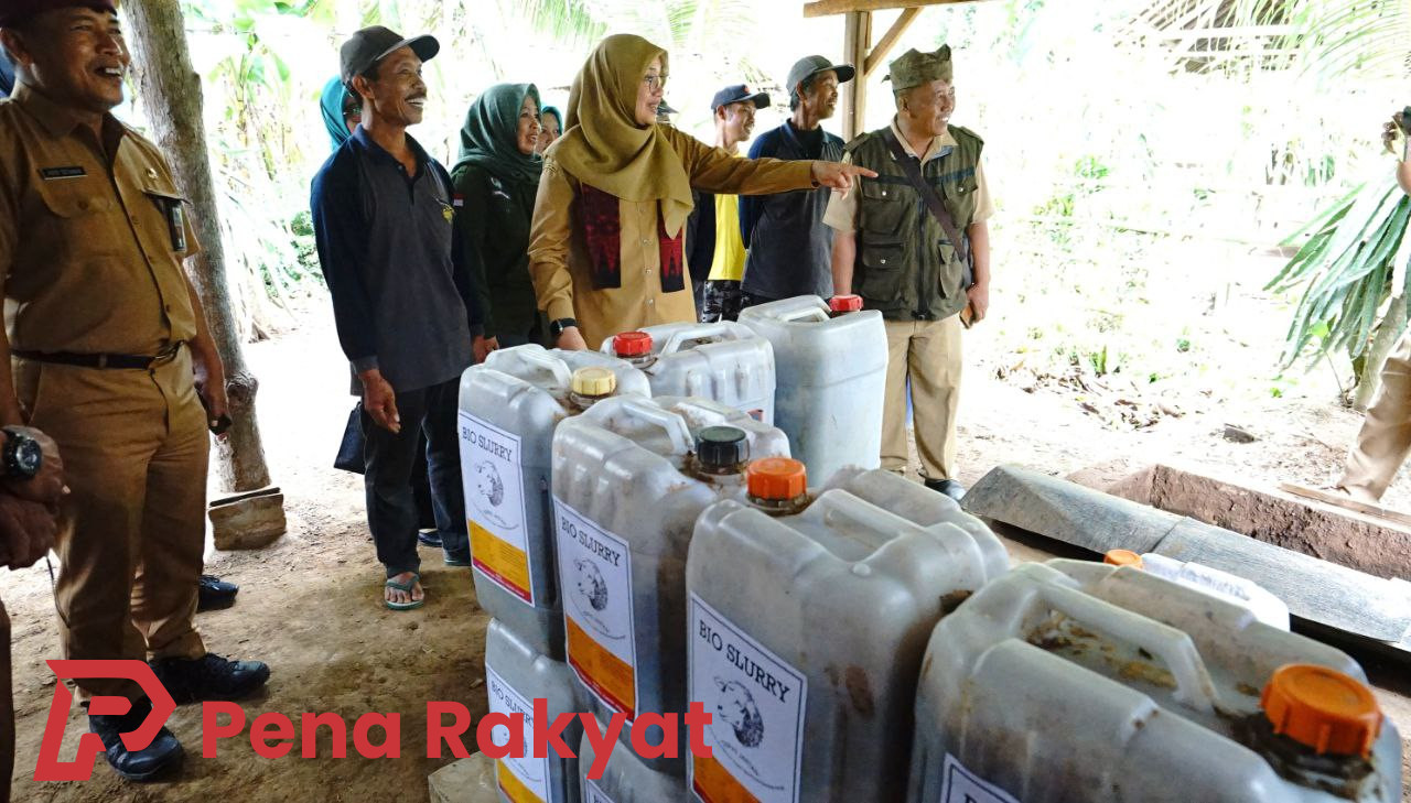 Inisiatif Hijau Peternakan Domba: Manfaatkan Limbah untuk Biogas dan Pupuk