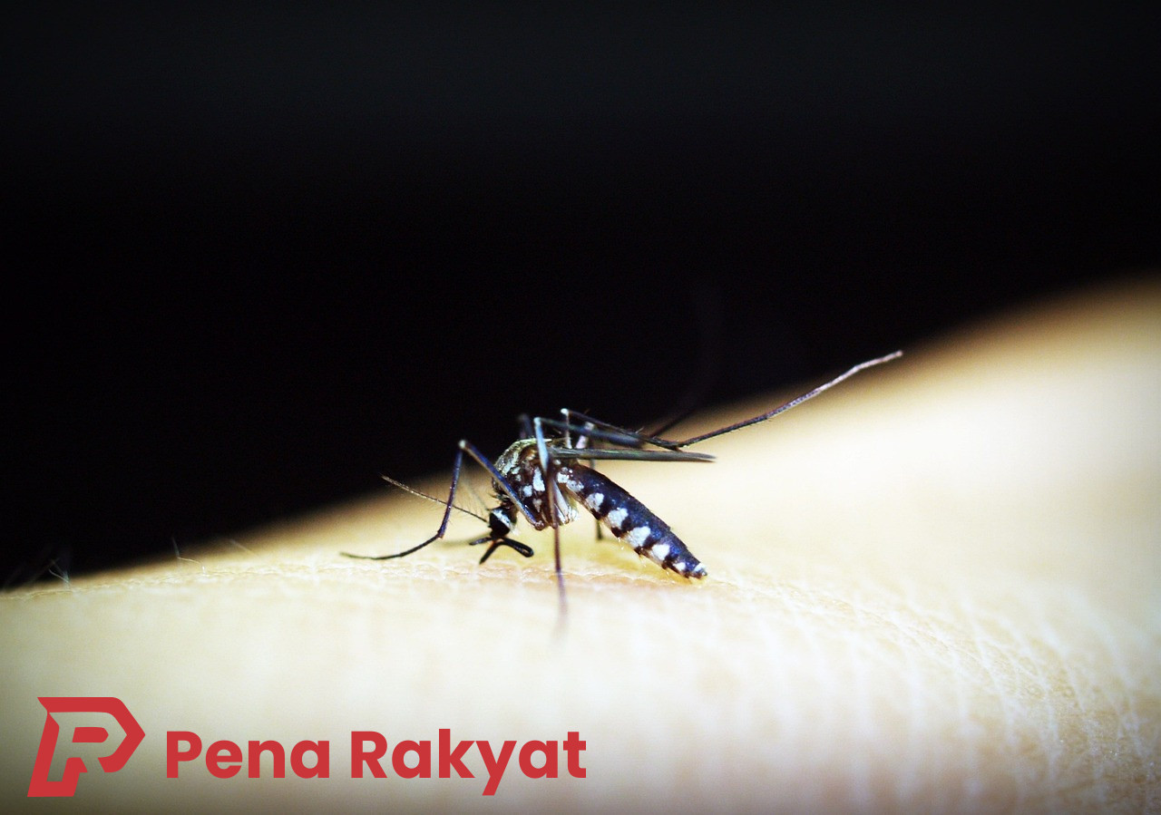 Dinkes Banyuwangi Antisipasi Kasus DBD: Tenaga Kesehatan dan Faskes Disiagakan